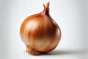 Closeup of a whole shallot, isolated on white background. photo