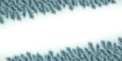 Festive Christmas or New Year Background. Blue Christmas Fir-Tree Branches. Holiday's Background. Vector illustration