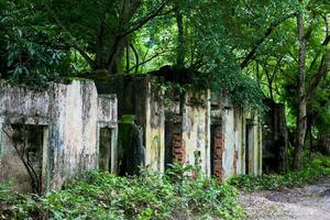 Remains of the destroyed houses of the Armero Town covered by trees and nature after 37 years of the tragedy caused by the Nevado del Ruiz Volcano in 1985 photo