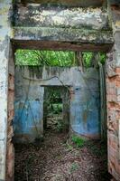 permanece de el destruido casas de el armero pueblo cubierto por arboles y naturaleza después 37 años de el tragedia causado por el nevado del ruiz volcán en 1985 foto