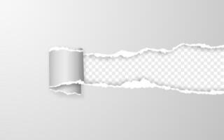 Realistic torn and twisted paper strip. Torn paper edge. Vector illustration