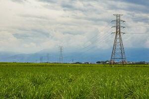 eléctrico red y azúcar caña campo a valle del Cauca región en Colombia foto