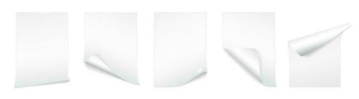 Blank A4 sheet of white paper with curled corner and shadow, template for your design. Set. Vector illustration