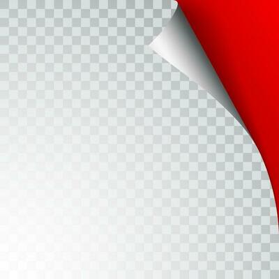Paper page with curled corner and shadow. Template for your design. Set. Vector illustration