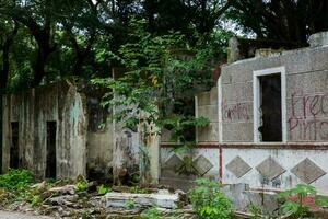 Remains of the destroyed houses of the Armero Town covered by trees and nature after 37 years of the tragedy caused by the Nevado del Ruiz Volcano in 1985 photo