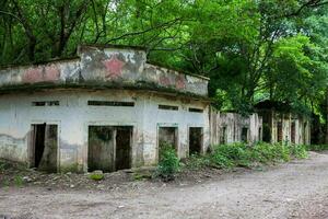 Remains of the destroyed houses of the Armero Town covered by trees and nature after 37 years of the tragedy caused by the Nevado del Ruiz Volcano in 1985 photo