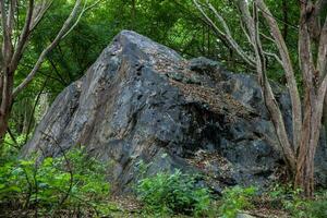 One of the gigantic rocks dragged by the avalanche, caused by the Nevado del Ruiz, that destroyed the city of Armero in 1985 photo