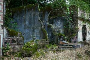 permanece de el destruido casas de el armero pueblo cubierto por arboles y naturaleza después 37 años de el tragedia causado por el nevado del ruiz volcán en 1985 foto