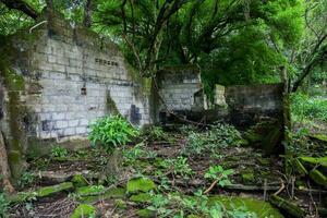 Remains of the destroyed houses of the Armero Town covered by trees and nature after 37 years of the tragedy caused by the Nevado del Ruiz Volcano in 1985 photo