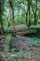 Abandoned bridge over which the train tracks passed before the Armero tragedy in 1985 photo