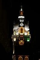 Metropolitan Cathedral Basilica of Saint Catherine of Alexandria photo