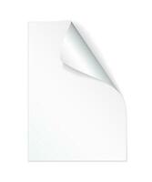 Blank A4 sheet of white paper with curled corner and shadow, template for your design. Set. Vector illustration