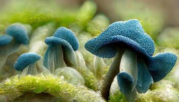 maravilloso azul sombrero de ostra hongos creciente en verde musgo cerca arriba. generativo ai foto