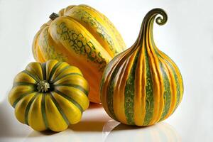 Special One natural Gourds. photo