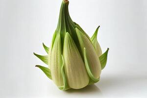 Healthy One natural Okra. photo