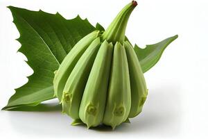 Healthy One natural Okra. photo