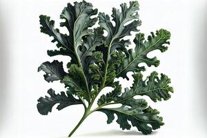 Special One natural Kale. photo