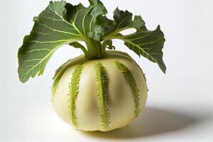 Healthy One natural Kohlrabi. photo