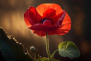 el rojo amapolas en monte cassino canción por feliks konarski. generativo ai foto