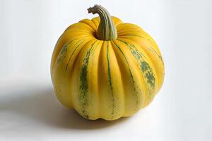 Healthy One natural Patti Pan Squash. photo