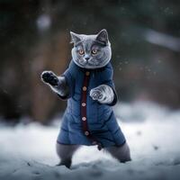 A cat wearing a coat Generated photo