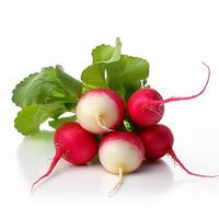 A bunch of radishes photo