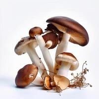 A group of mushrooms Generated photo