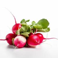 A bunch of radishes photo