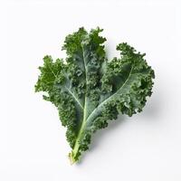 A green leaf of kale Generated photo