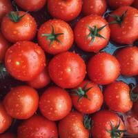 A bunch of tomatoes Generated photo