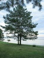 Lake Naroch is landscape of the lake in Belarus. photo