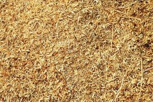 sawdust texture background, sawdust wood scraps, top view the pile of sawdust scraps photo