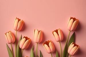 Pink tulip flowers with copy space, photo