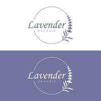 Hand drawn organic lavender flower logo template design.Logo for cosmetic, beauty,tea,oil,herb. vector