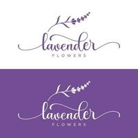 Hand drawn organic lavender flower logo template design.Logo for cosmetic, beauty,tea,oil,herb. vector