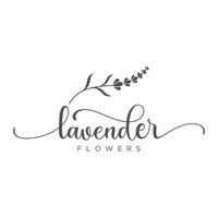 Hand drawn organic lavender flower logo template design.Logo for cosmetic, beauty,tea,oil,herb. vector