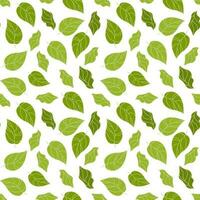 Seamless pattern, tea leaves on a white background. Print, background, textile, wallpaper, vector