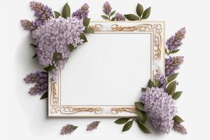 Horizontal frame with lilac flowers on the white background, photo