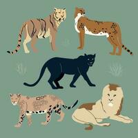 conjunto de diferente felino animales león, pantera, guepardo, tigre, jaguar. vector plano ilustración en un oscuro antecedentes.