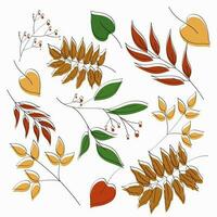 otoño hojas antecedentes en blanco. Perfecto para estacional diseños y con temática otoñal proyectos vector