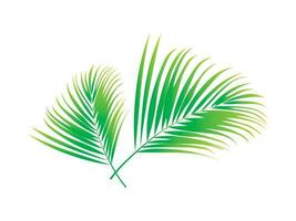 Green Leaf palm tree vector illustration