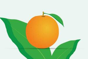 Orange fruit with leaf vector illustration.