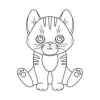 Line cute sitting cat. Vector outline graphic illustration, character baby kitten isolated on white background for coloring book