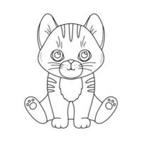 Line cute sitting cat. Vector outline graphic illustration, character baby kitten isolated on white background for coloring book