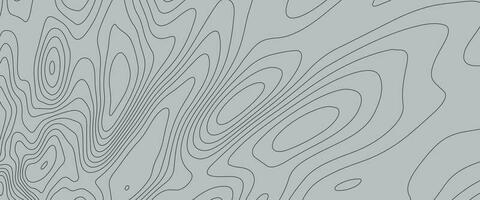 Background of the topographic map. Topographic map lines vector