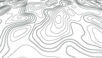 Topographic map lines background. vector