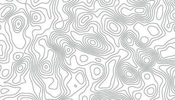 Background of the topographic map. Topographic map lines vector