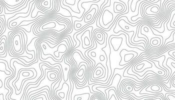 Topographic map lines background. vector