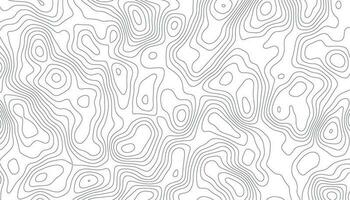 Topographic pattern texture. Map on land vector terrain.  Background of the topographic map.