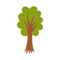 vector ilustración de dibujos animados árbol aislado en blanco antecedentes.